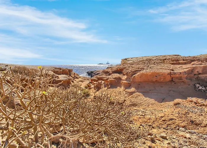 別荘 Paula By Paramount Holidays Arico